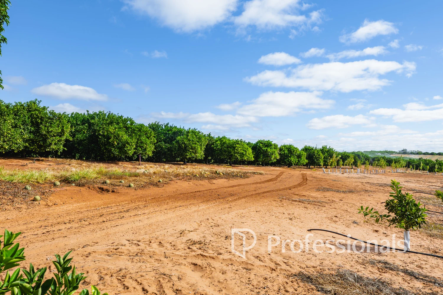 Additional image 6 of 3724 & 3744 Kulkyne Way, Colignan VIC 3494