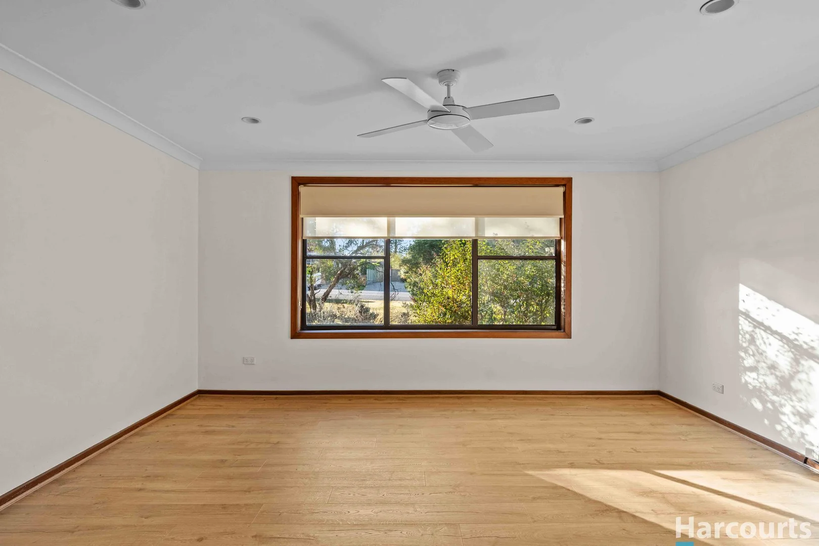 Additional image 7 of 231 Paterson Road, Bolwarra Heights NSW 2320