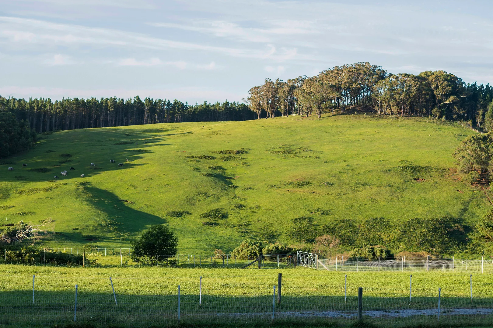 Additional image 38 of 59 Razorback Road, Tallong NSW 2579