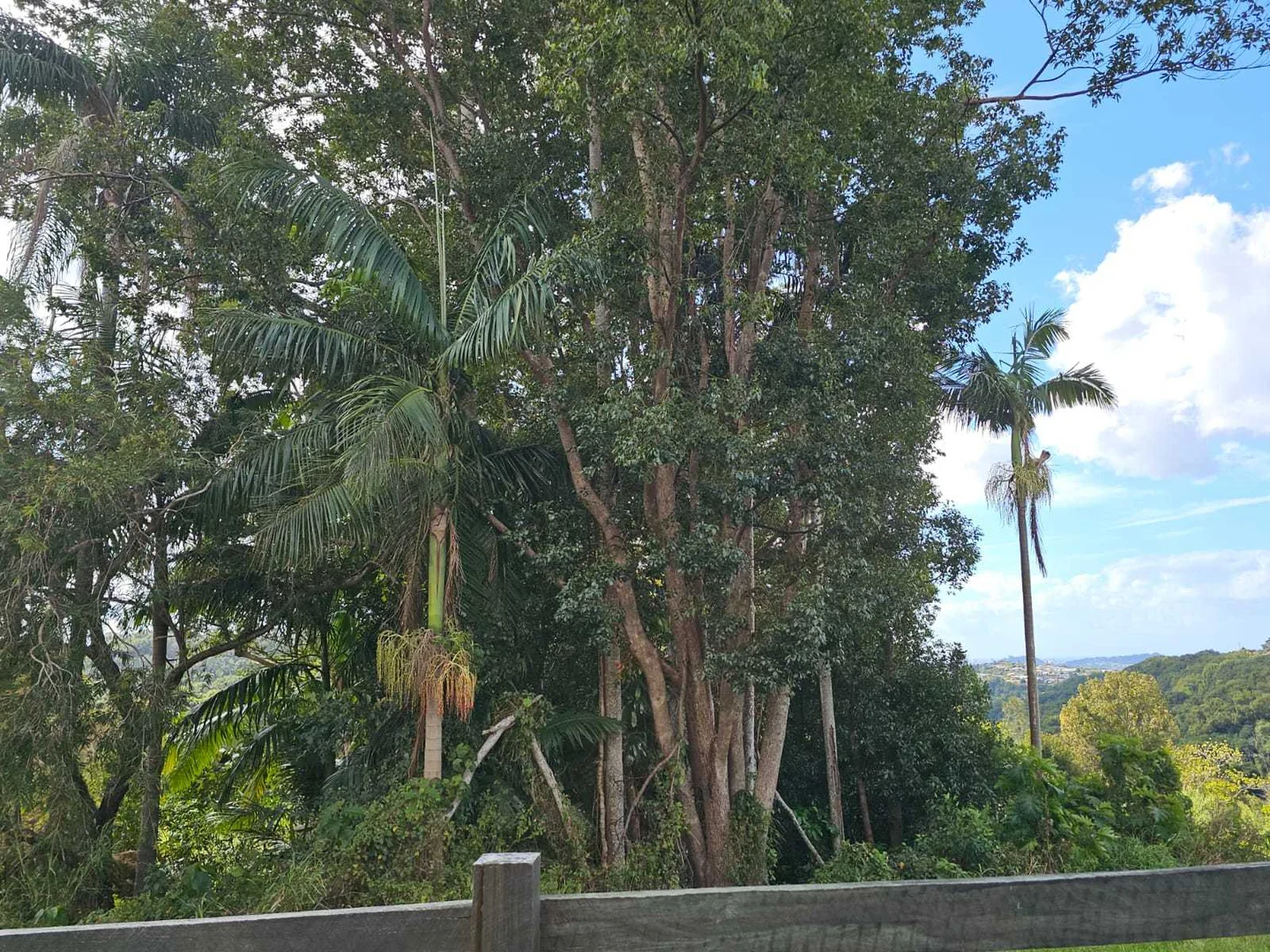 Additional image 13 of 9 Evergreen View, Bilambil Heights NSW 2486