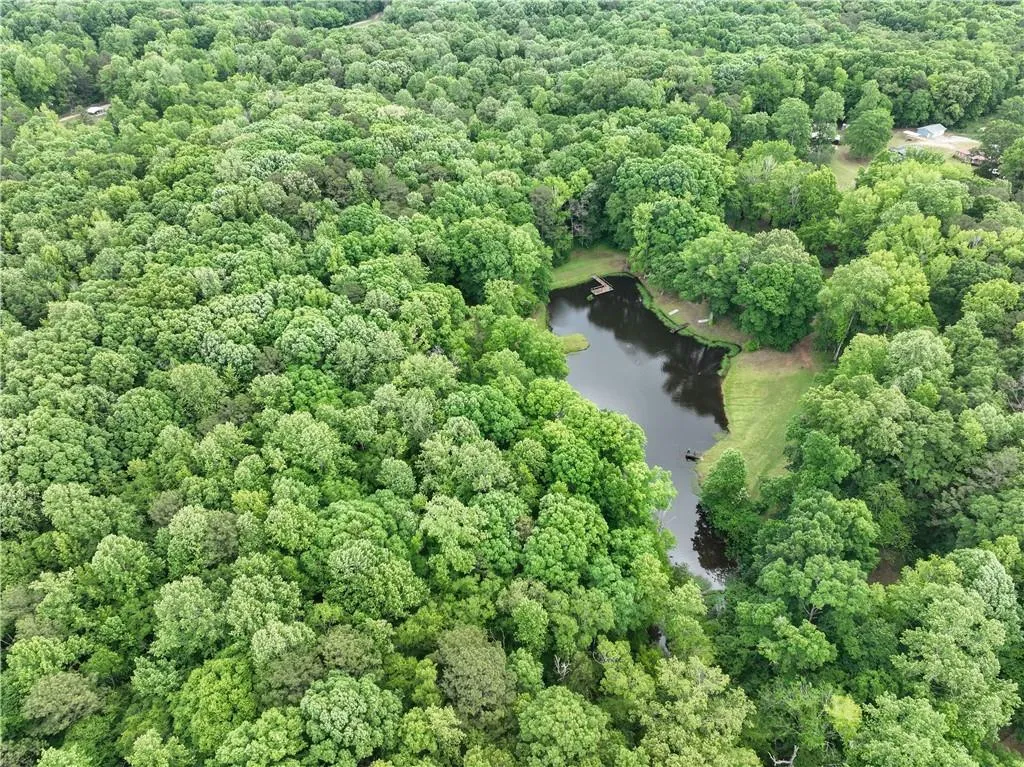 Additional image 32 of 675 Lee Road 424, Salem, AL 36874