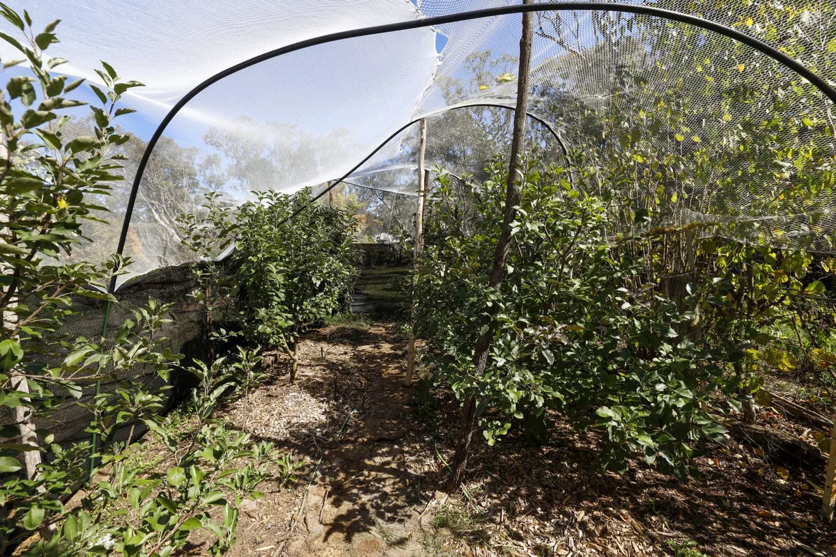 Additional image 17 of 726 Willow Glen Road, Lower Boro NSW 2580