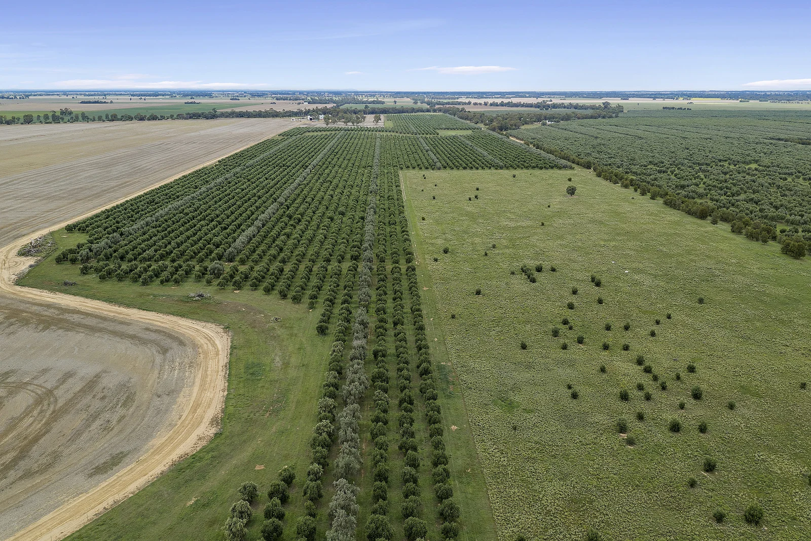 Additional image 21 of . Echuca Serpentine Road, Serpentine VIC 3517