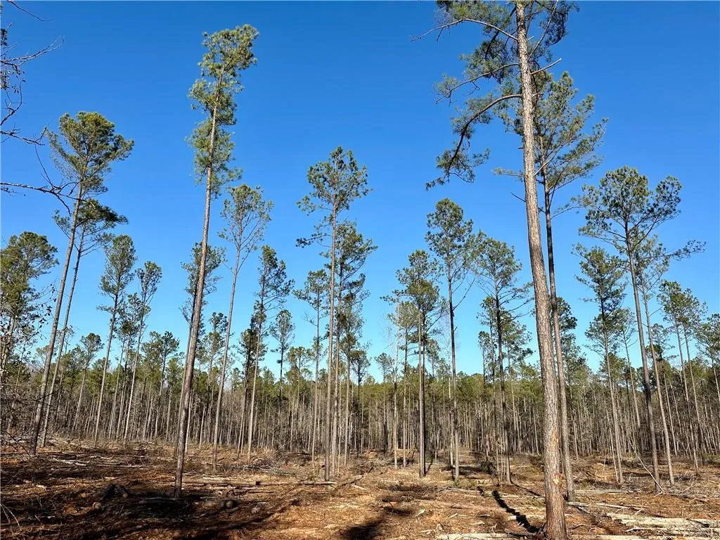 Additional image 9 of Lee Rd 278, Salem, AL 36874