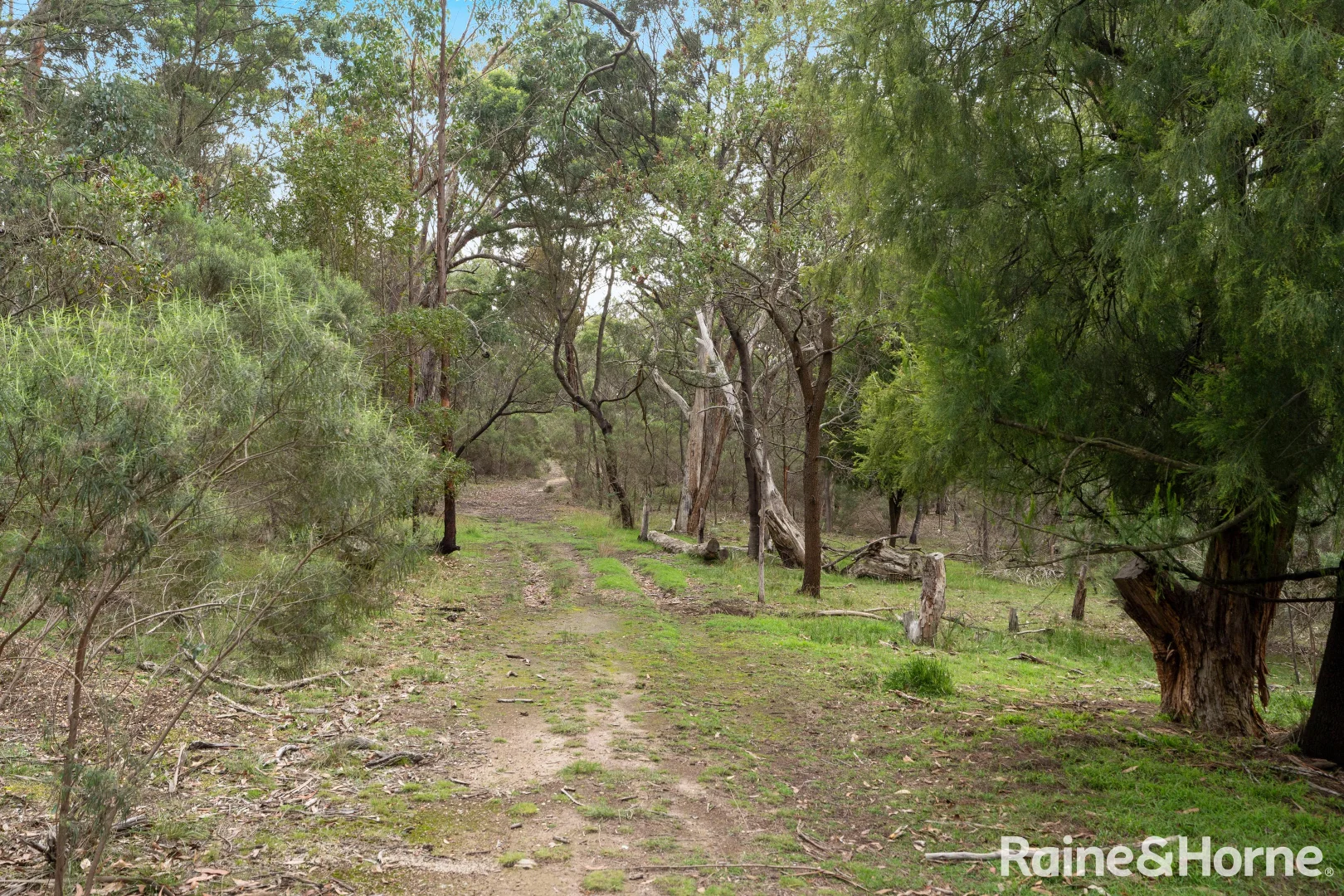 Additional image 5 of Lot 6 Royal Pde, Riddells Creek VIC 3431