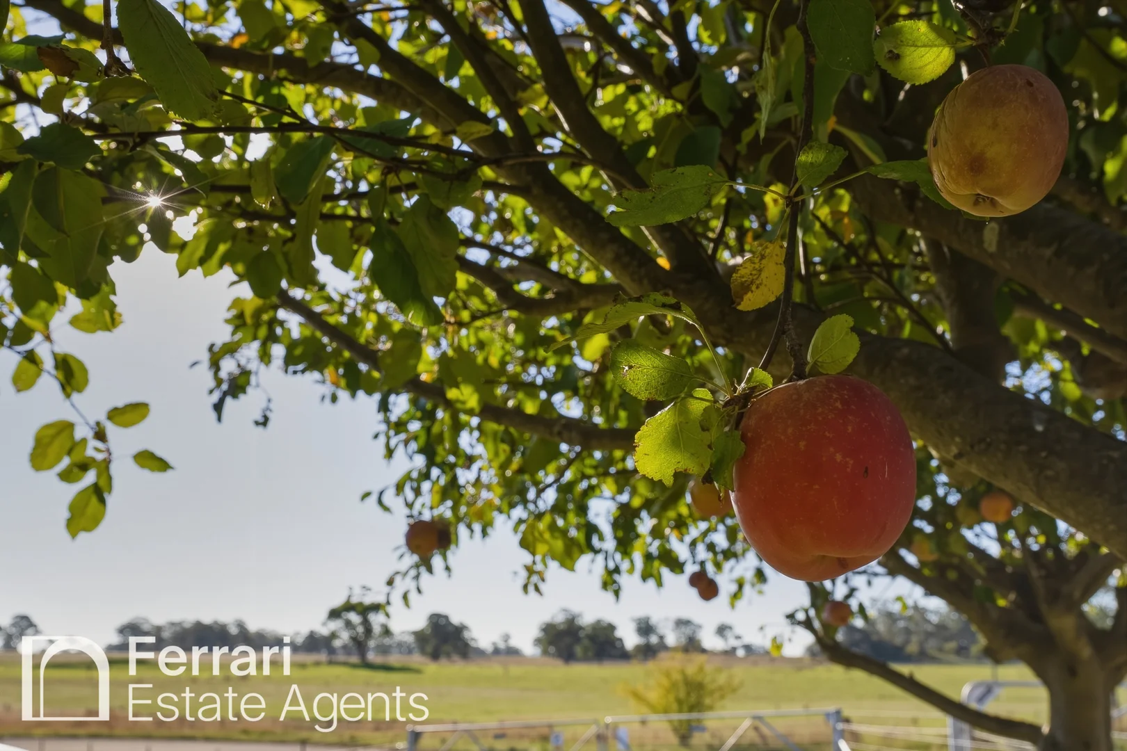 Additional image 50 of 125 Burtons Lane, Orange NSW 2800