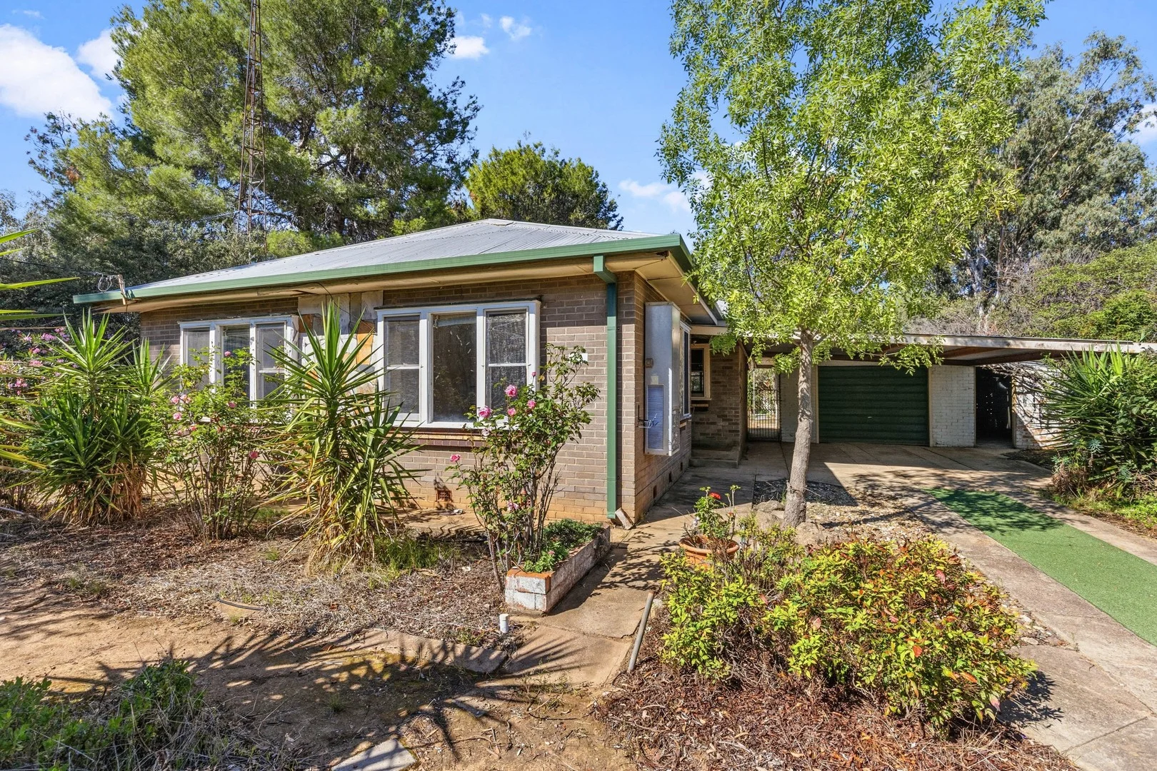 33-35 Norman Street, The Rock NSW 2655