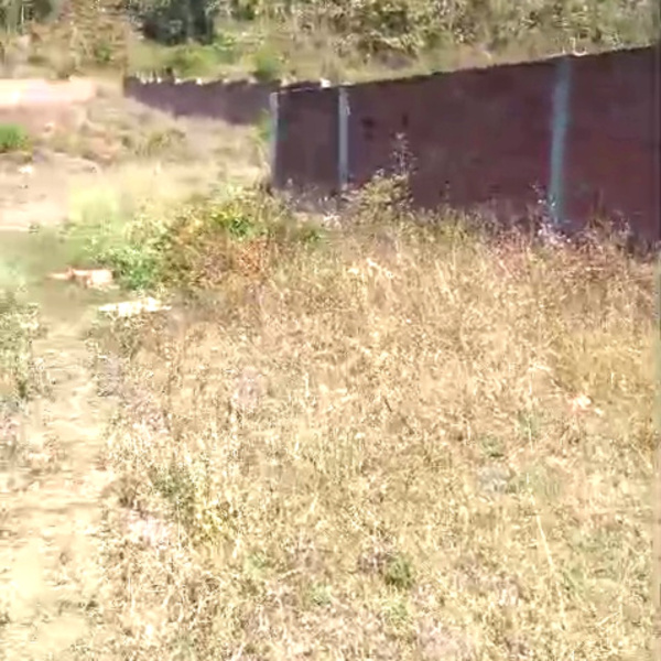 Additional image 2 of Kaladhungi, Nainital
