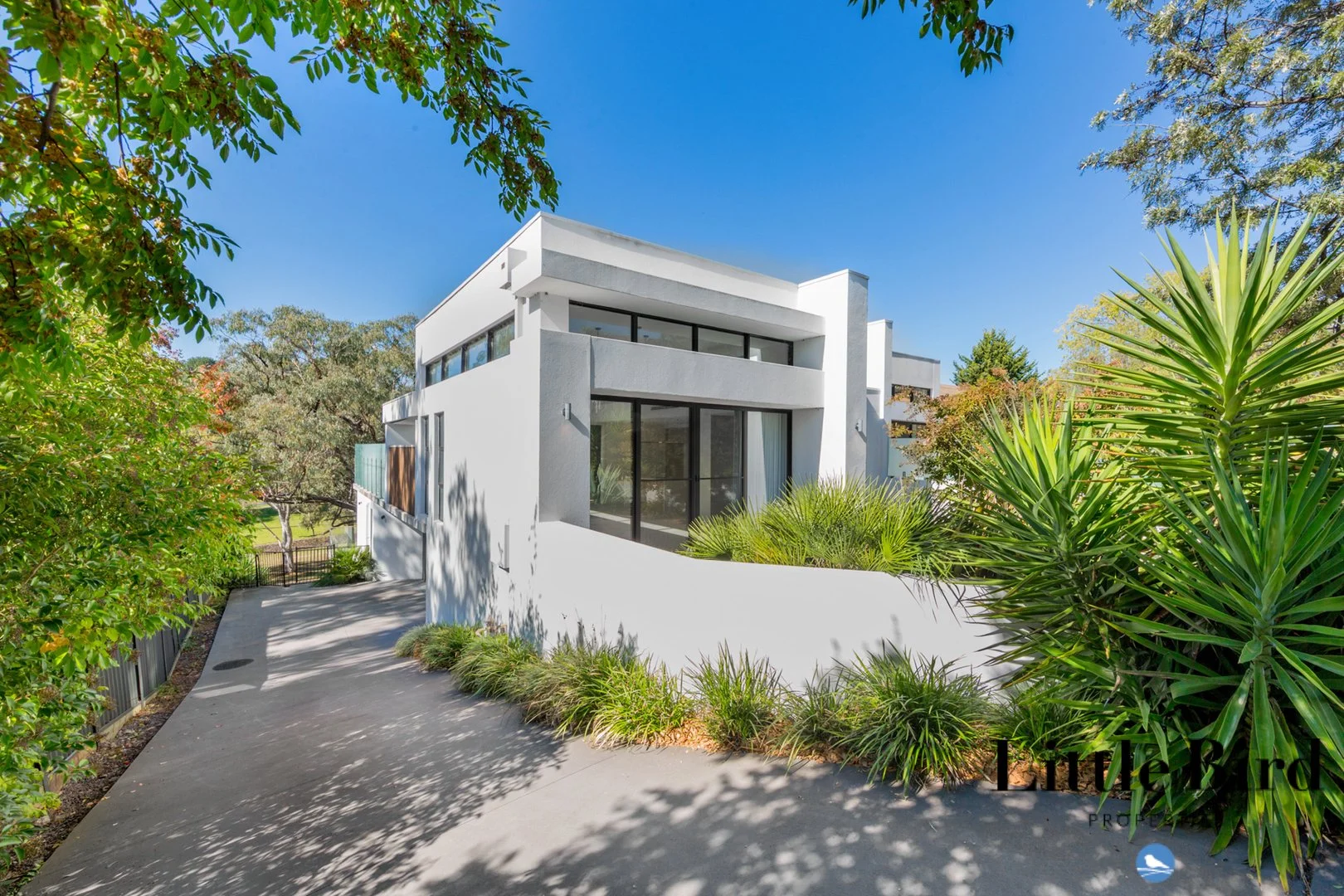 12a Markham St, Mawson ACT 2607 photo 2