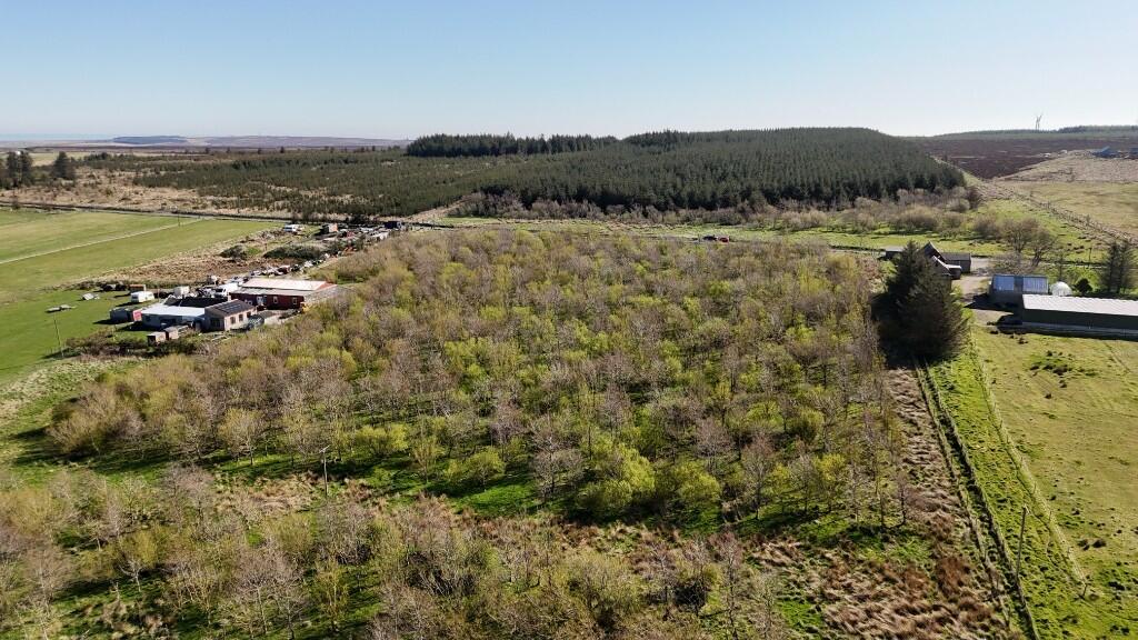 Additional image 20 of Woodland at Broadmuir, Hill of Fisherie, Turriff, AB53 5QL