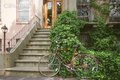 Additional image 18 of 230 Ashland Pl Apt 12C, Brooklyn, NY, 11217