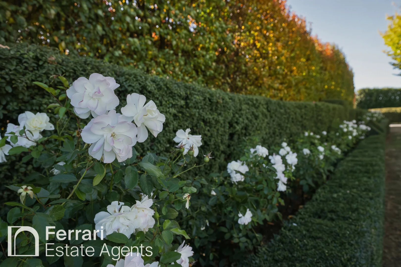 Additional image 48 of 125 Burtons Lane, Orange NSW 2800