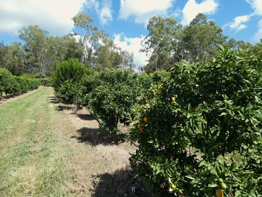 Additional image 29 of 86 Simpsons Road, Bullyard QLD 4671
