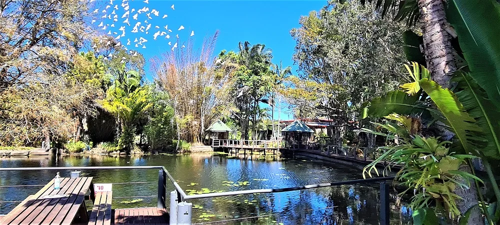 Additional image 10 of 52/319 Bradman Avenue, Maroochydore QLD 4558