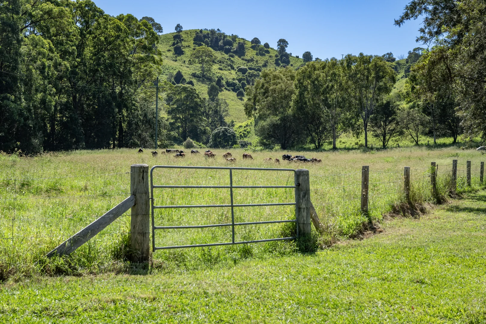 Additional image 33 of 55 Jerry Creek Road, Langshaw QLD 4570