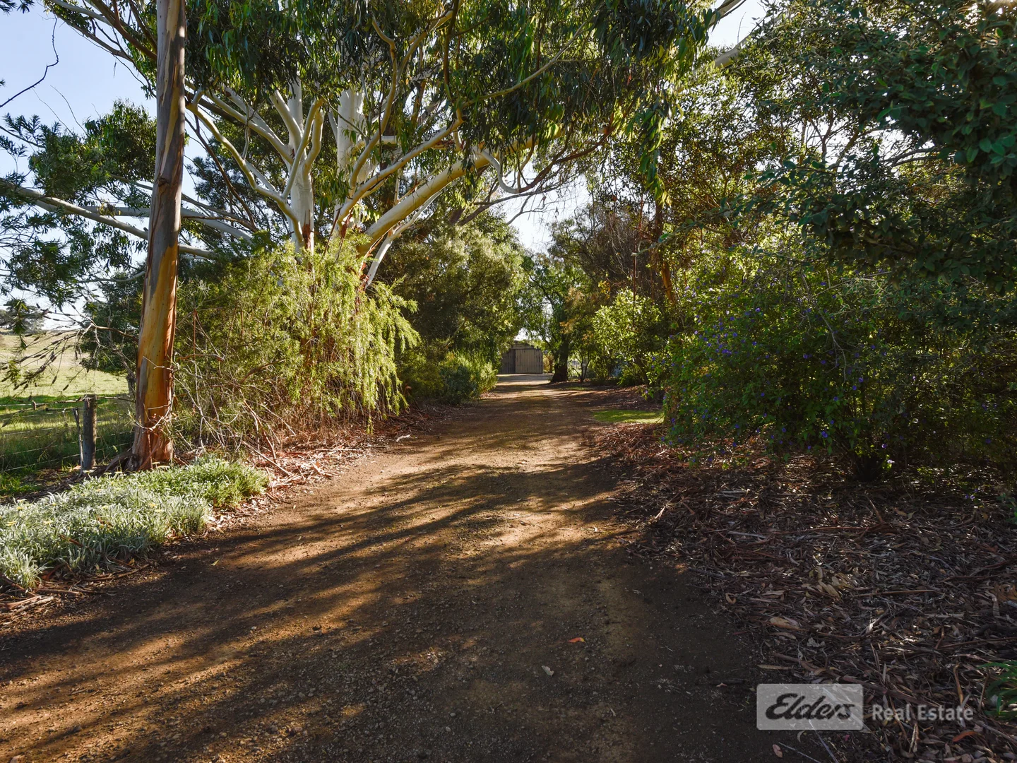 Additional image 8 of 78 Banya South Road, Millicent SA 5280