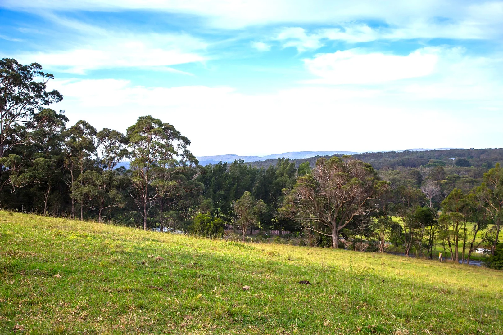 Additional image 15 of 1107 Old Hume Highway, Alpine NSW 2575