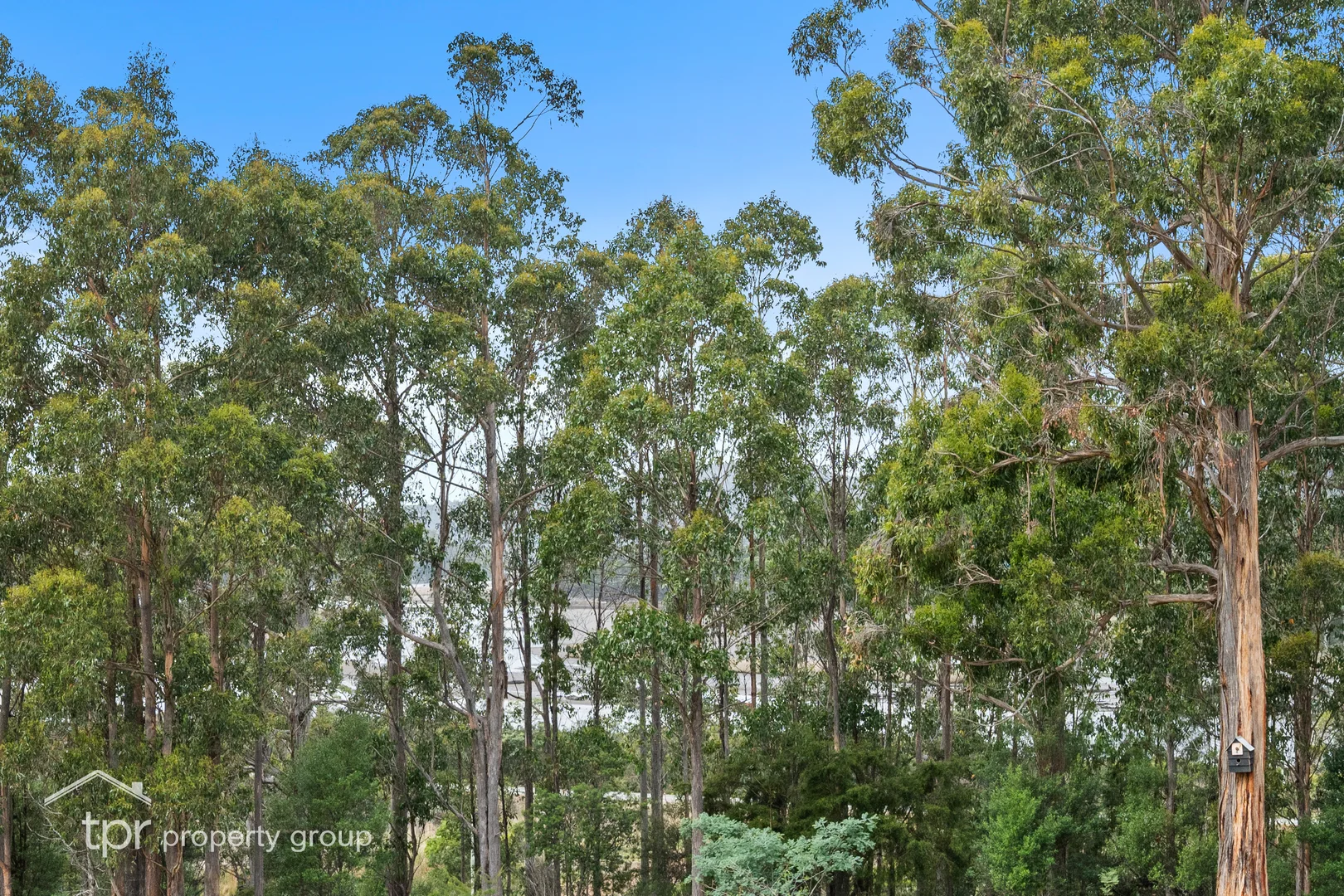 Additional image 30 of 19 McClyments Road, Raminea TAS 7109