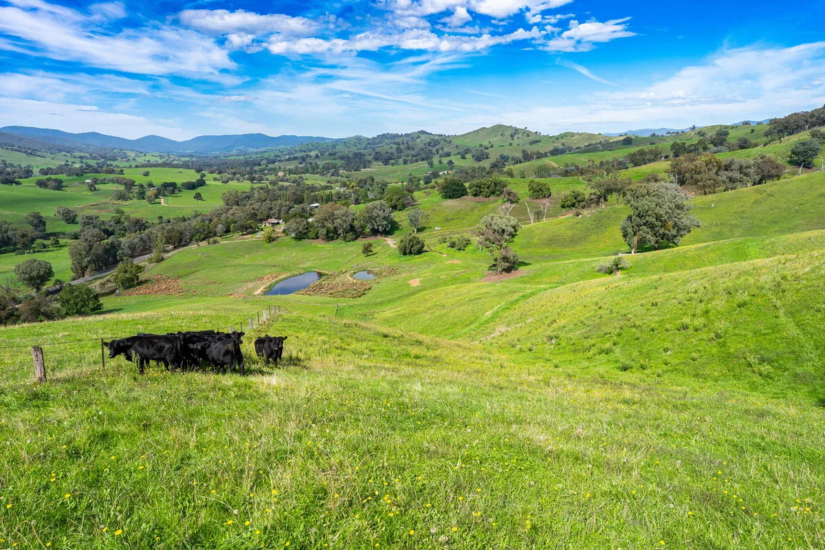 Additional image 11 of Sandy Creek Road, Sandy Creek VIC 3695