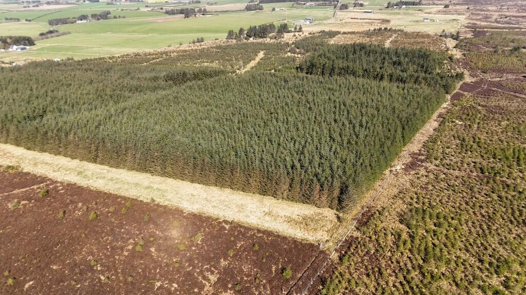 Additional image 7 of Lot 1 Woodland at Broadmuir, Hill of Fisherie, Turriff, AB53 5QL
