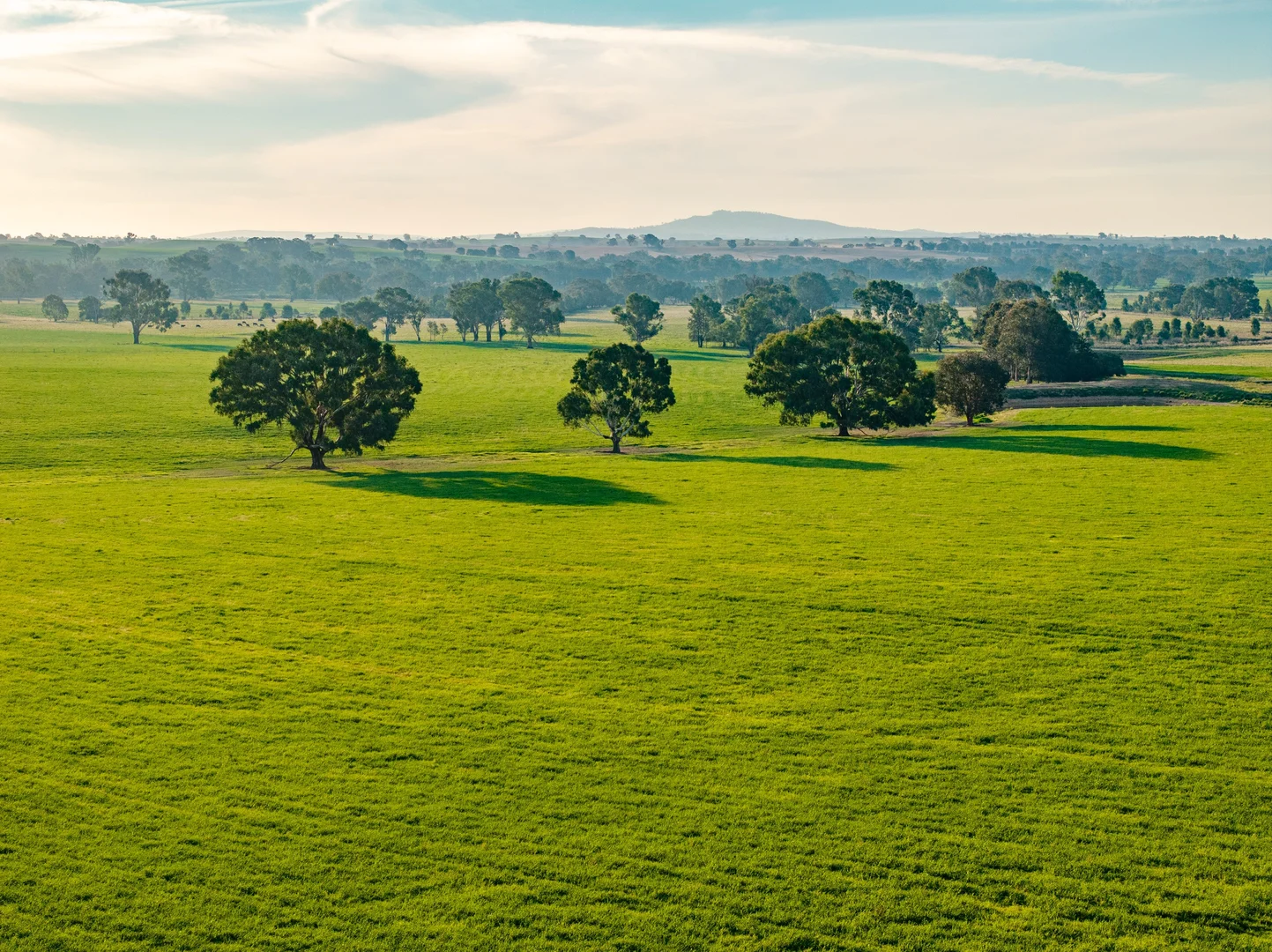 Additional image 18 of "KALOONA" Holbrook Road, Mangoplah NSW 2652