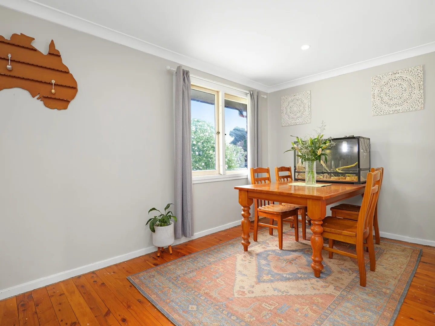 15 Patrick Street, Singleton NSW 2330 photo 4