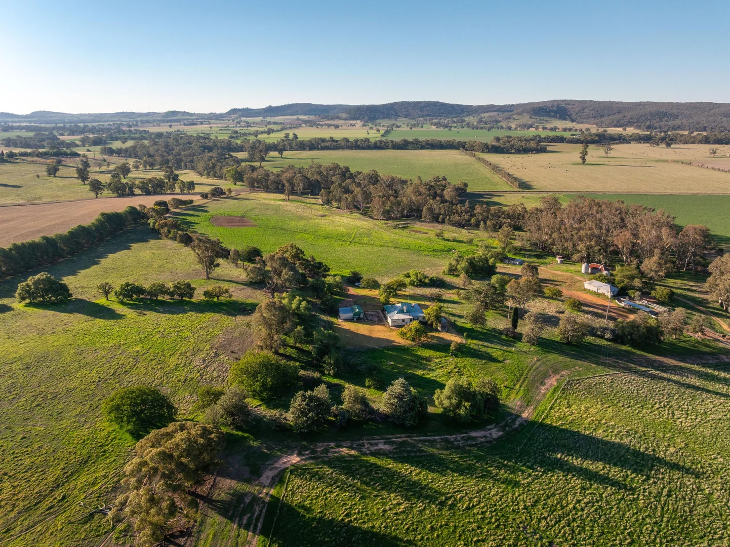 Additional image 13 of 261 Paper Forest Road, Mangoplah NSW 2652