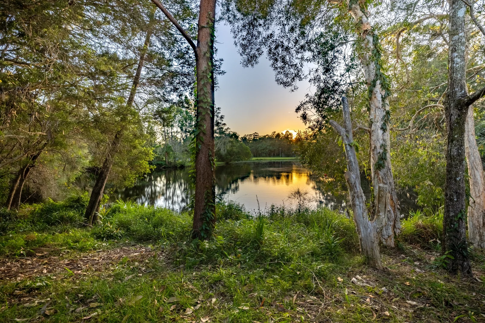 Additional image 17 of 3 Karri Court, Mapleton QLD 4560