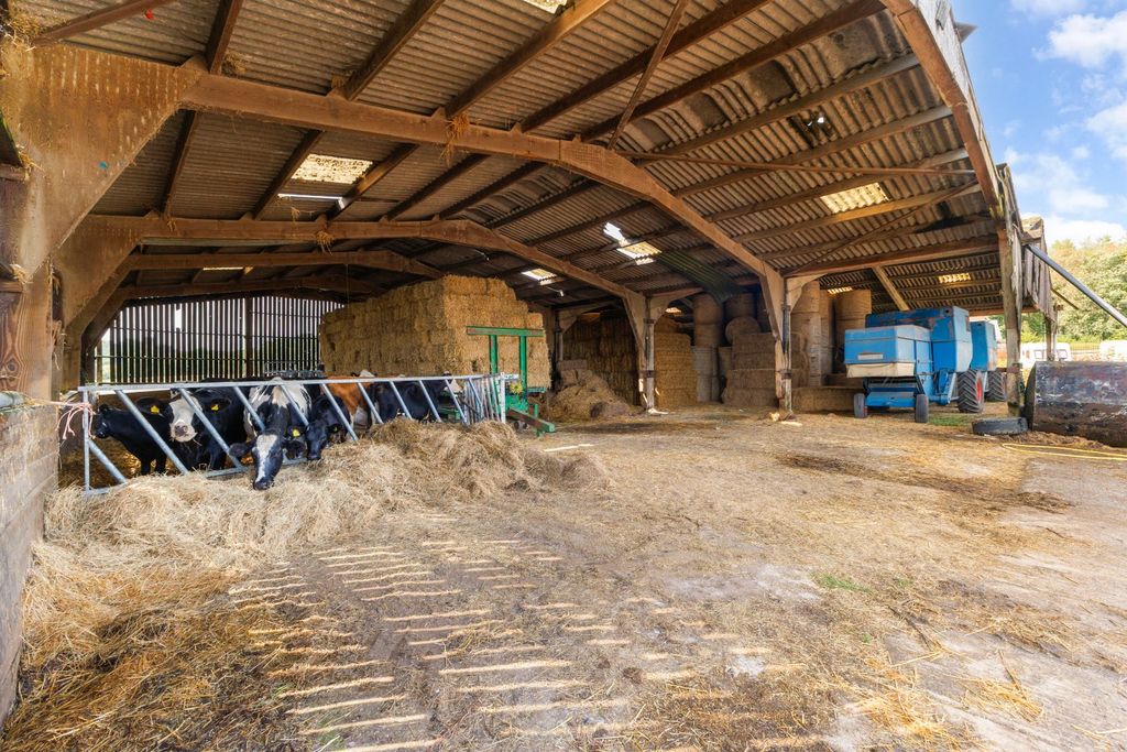 Land for saleRedlynch, Salisbury SP5 photo 4