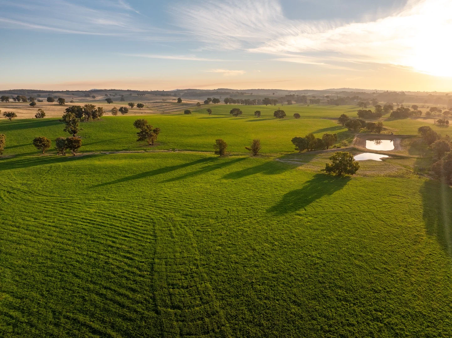 "KALOONA" Holbrook Road, Mangoplah NSW 2652
