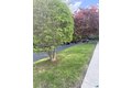 Additional image 12 of 24 Pumpkin Hill Rd Unit 24, New Milford, CT, 06776