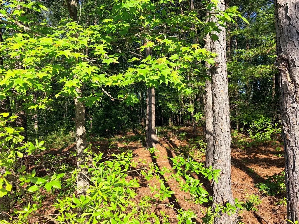 Additional image 8 of Lee Rd 2009, Phenix City, AL 36870