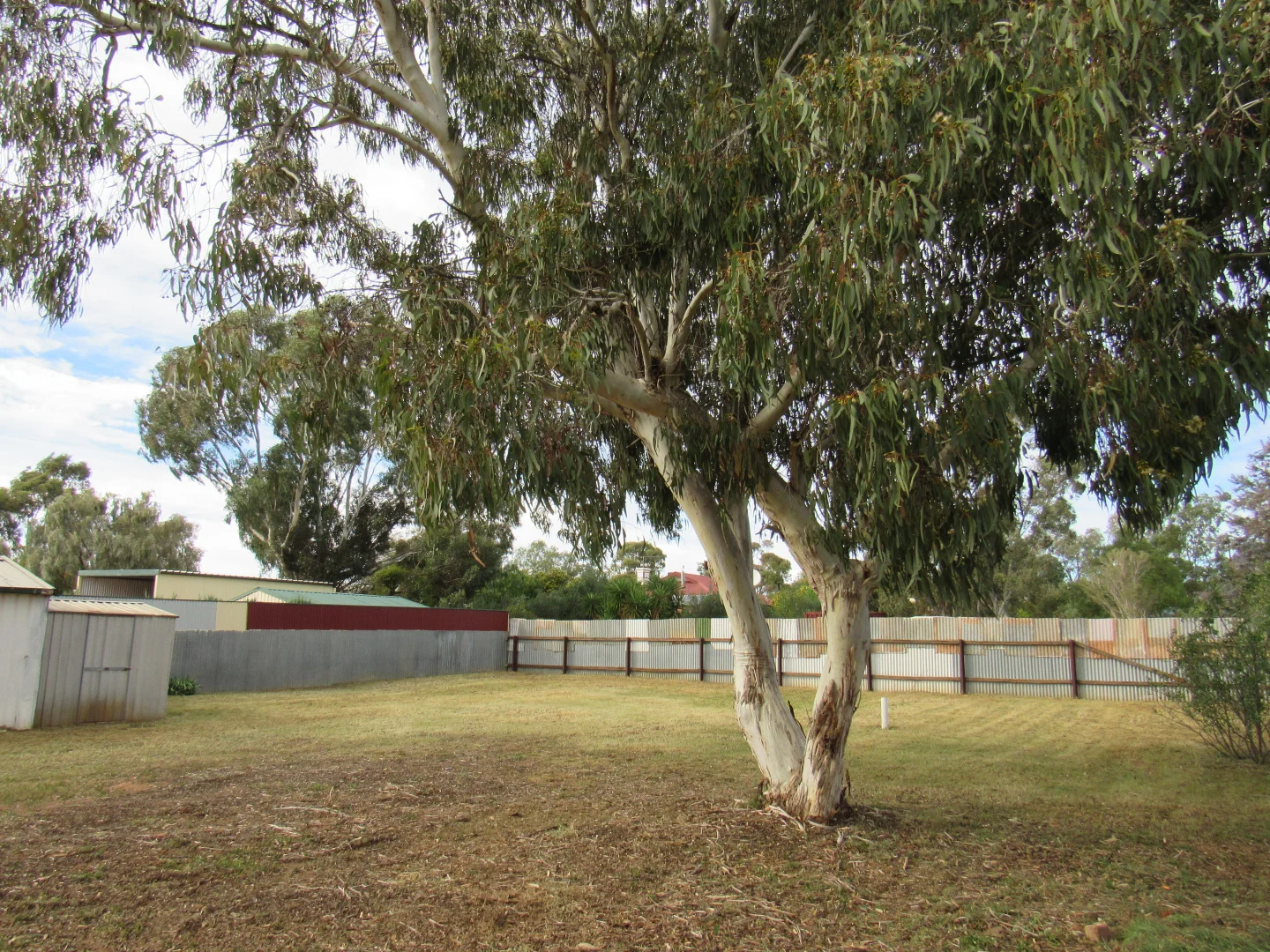 Additional image 15 of 122 Hill Street West, Peterborough SA 5422