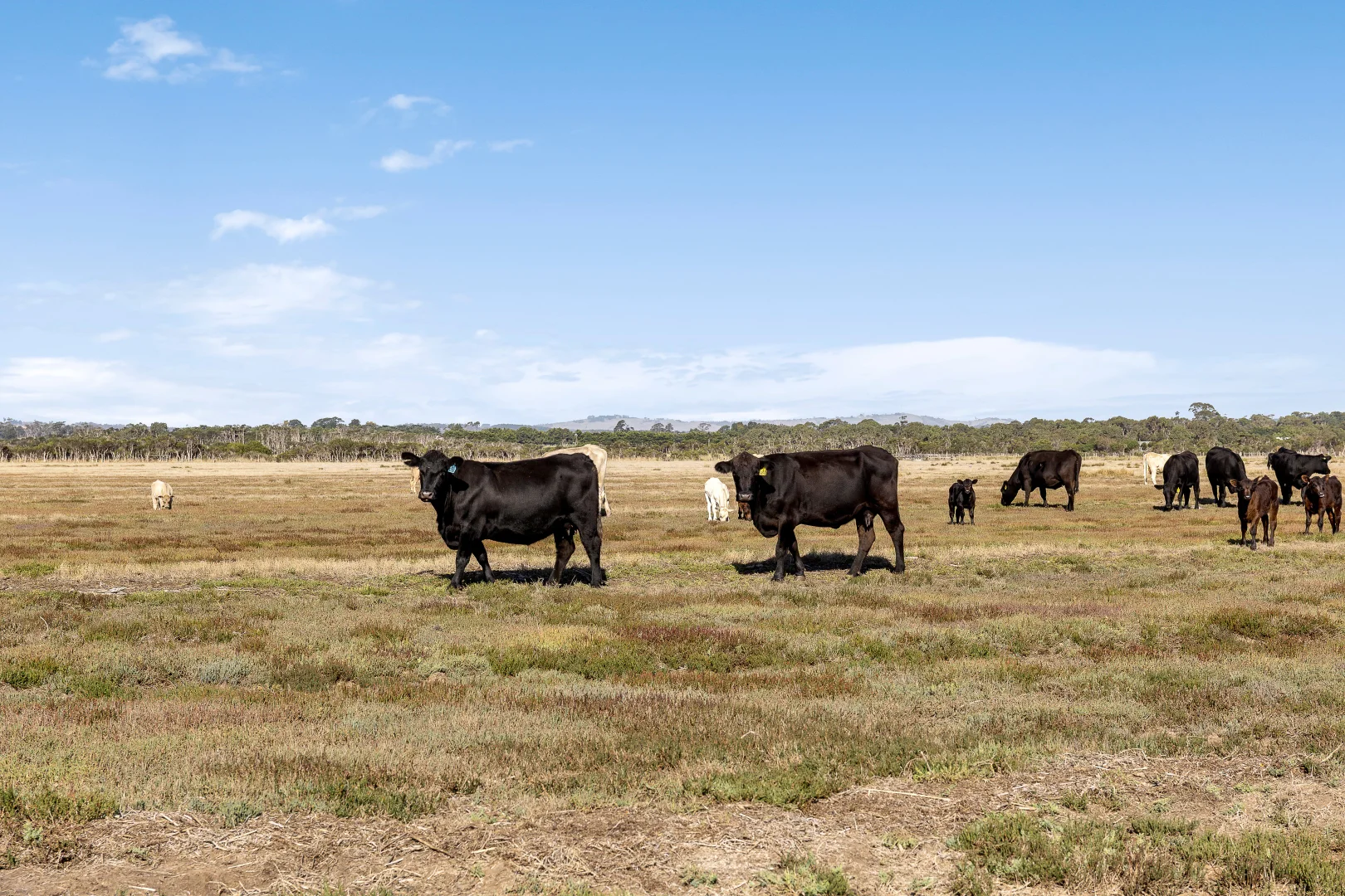 Additional image 14 of 390A Stanlakes Road, Lang Lang VIC 3984