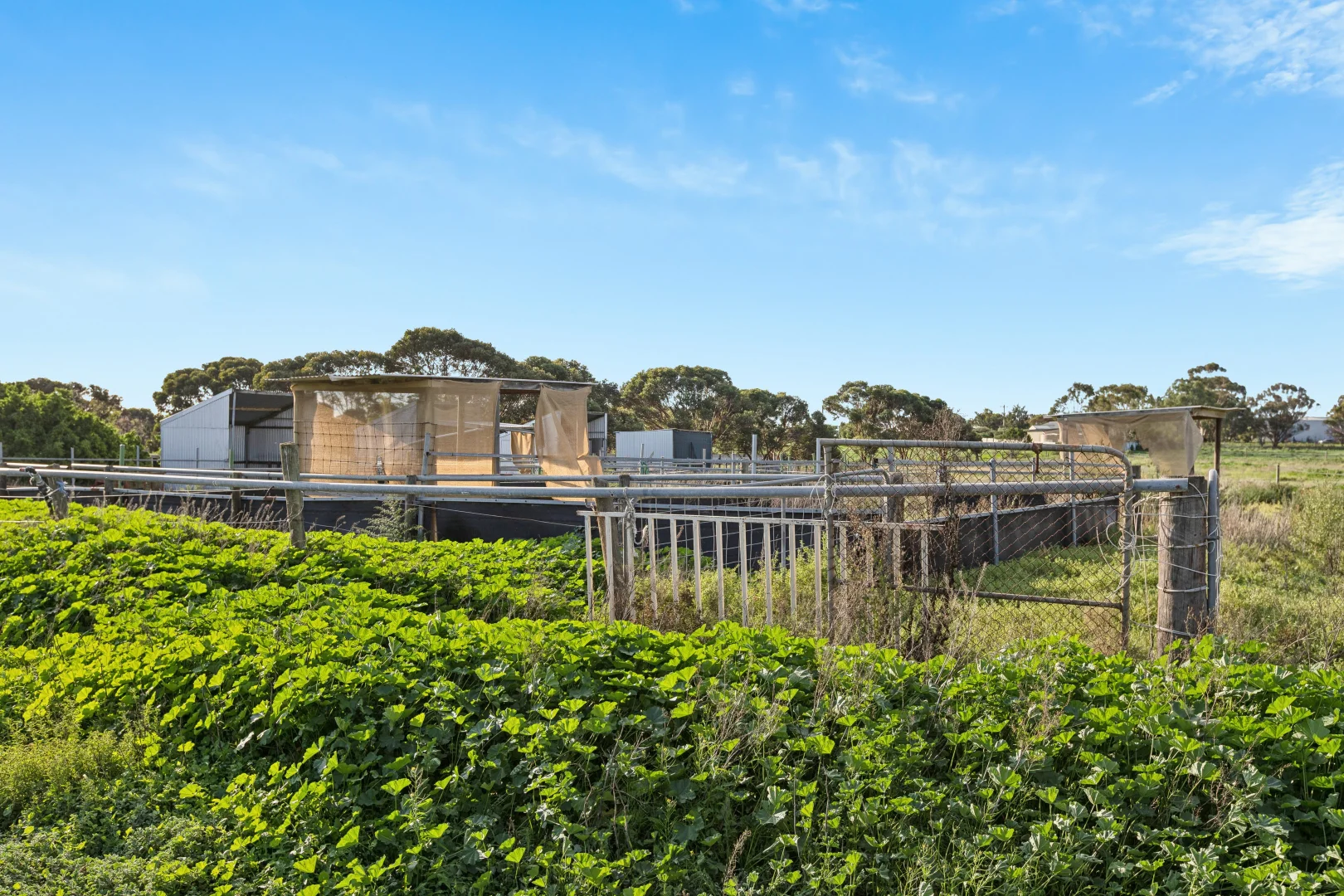 Additional image 22 of 40 Old Swanport Road, Murray Bridge SA 5253