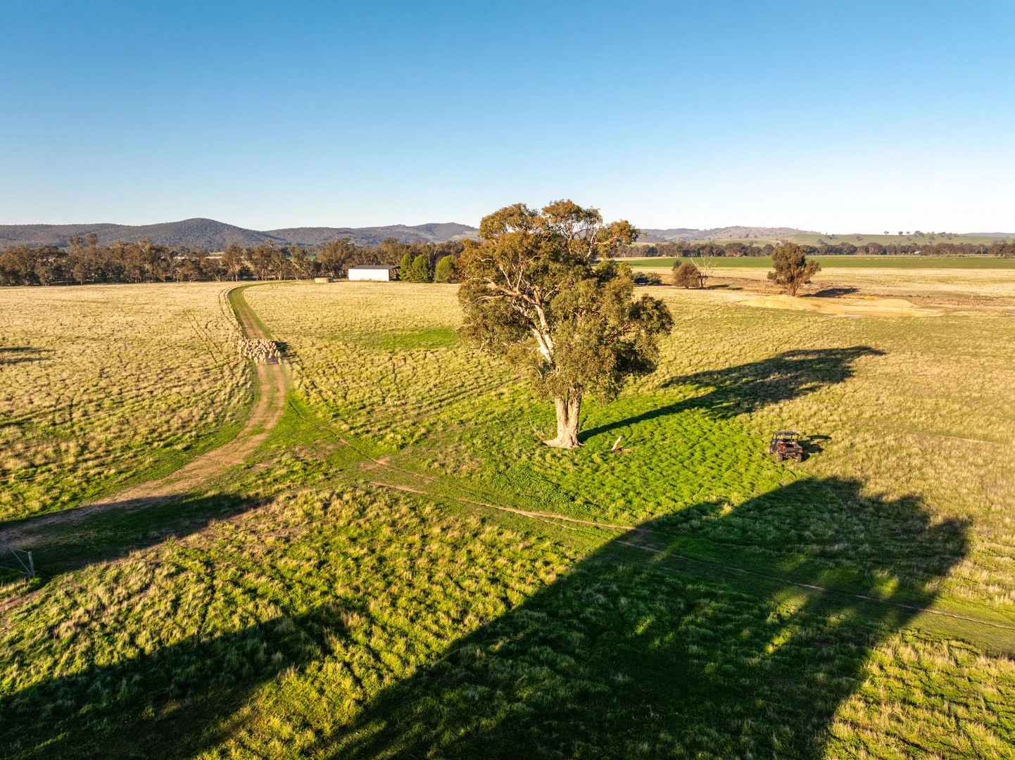 Additional image 9 of 261 Paper Forest Road, Mangoplah NSW 2652