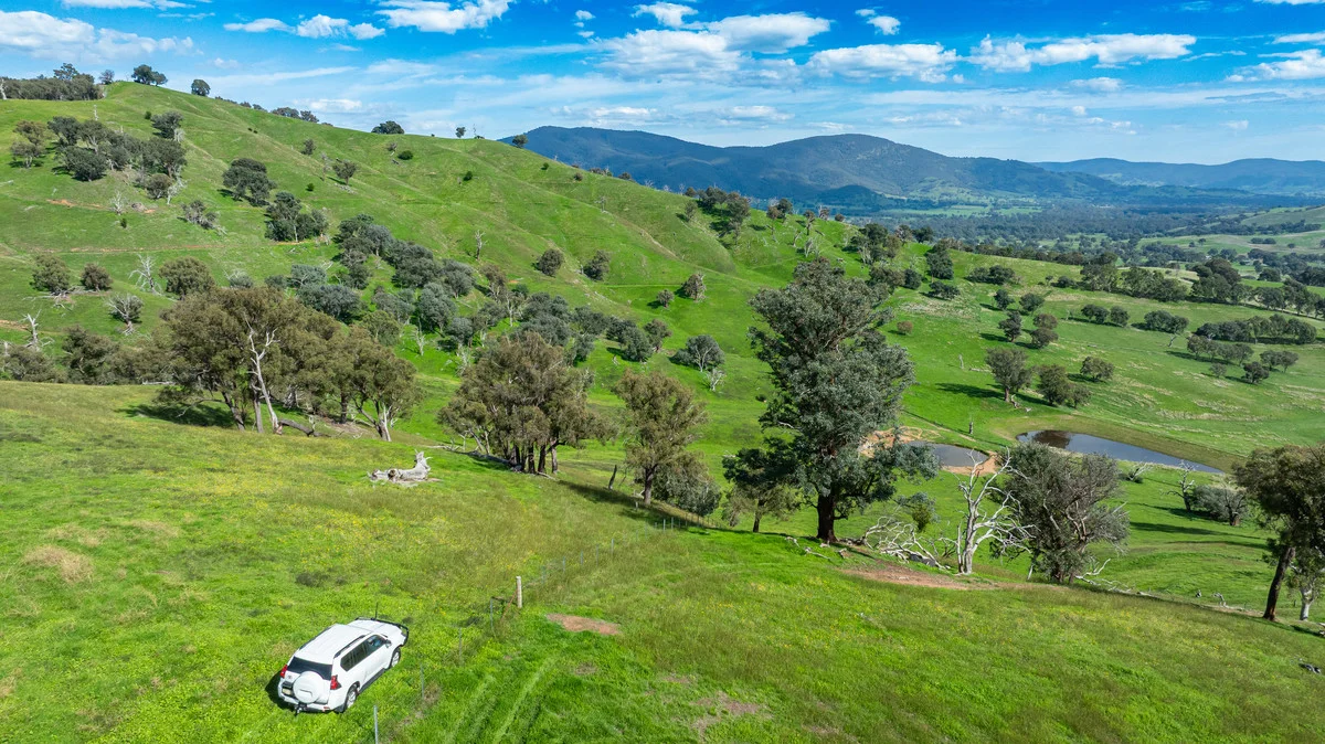 Additional image 21 of Sandy Creek Road, Sandy Creek VIC 3695