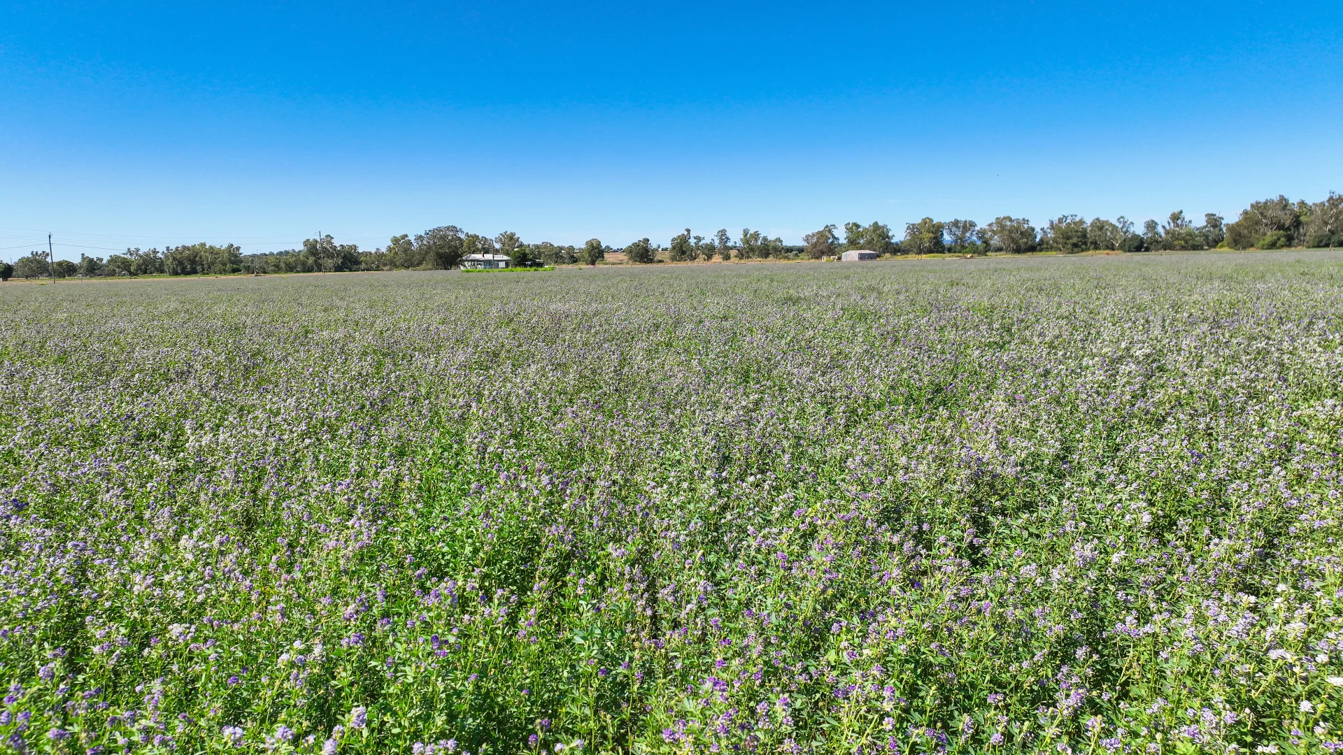 Additional image 6 of 73-95 King George V Ave, Tamworth NSW 2340