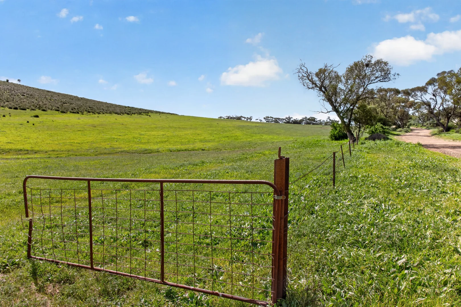 Additional image 13 of 'Railway' Depot Flat Road, Yarrah SA 5433