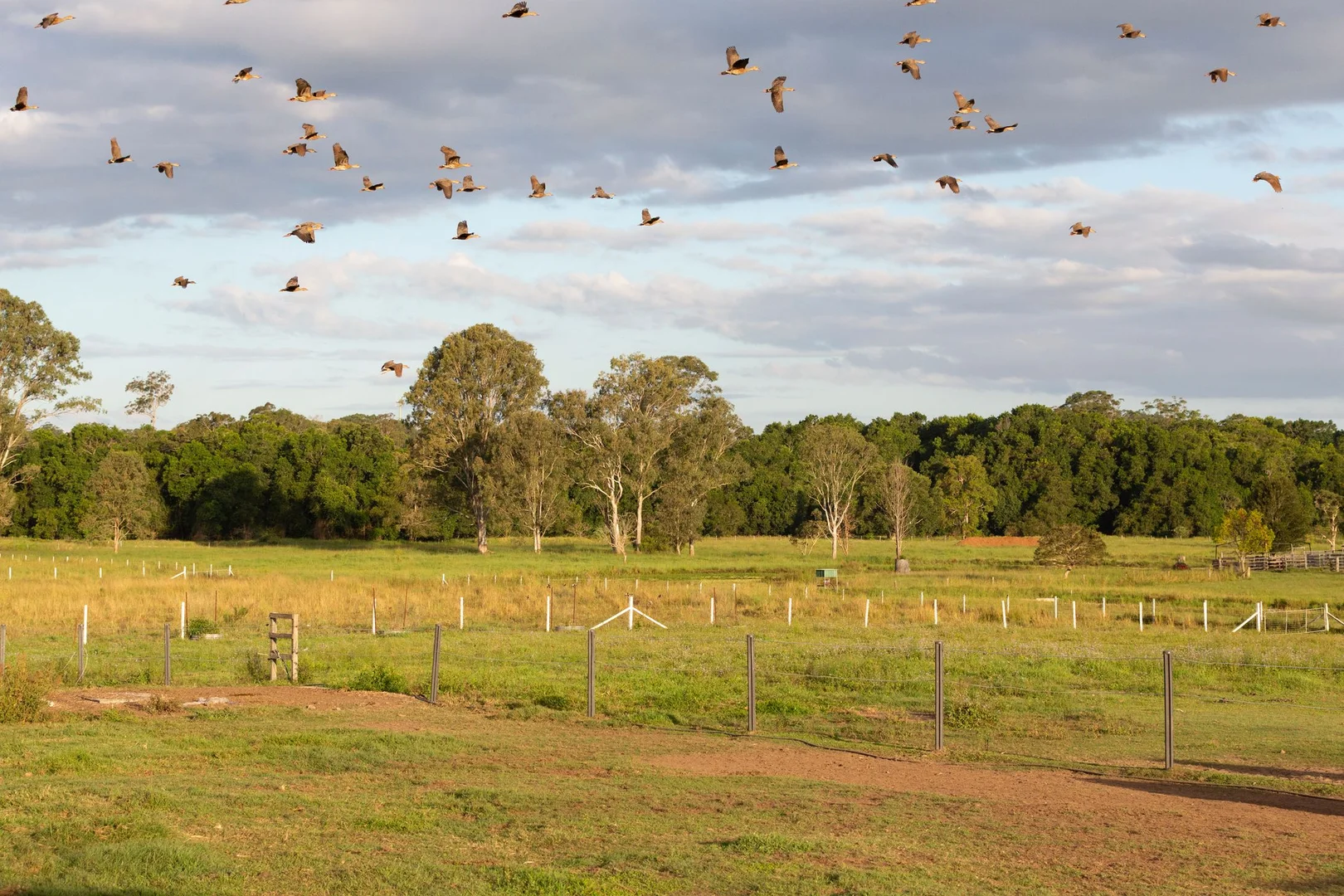 Additional image 13 of 150 Nonmus Road, Stanmore QLD 4514