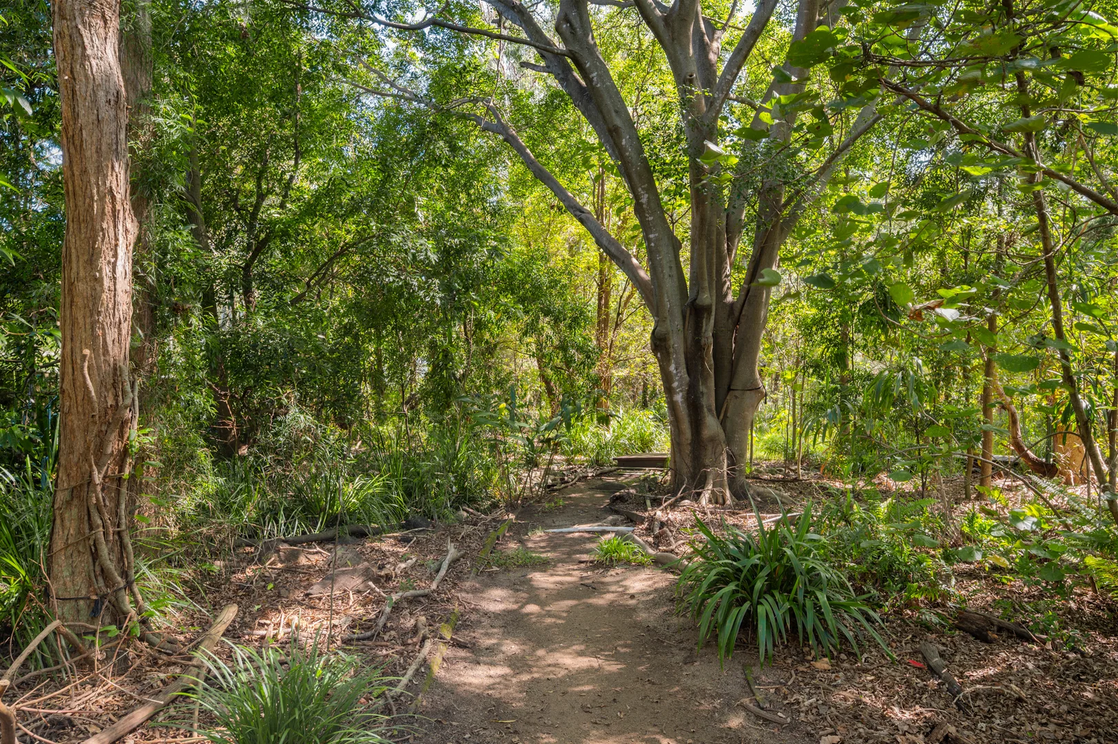 Additional image 20 of 127 Fleming Road, Hemmant QLD 4174