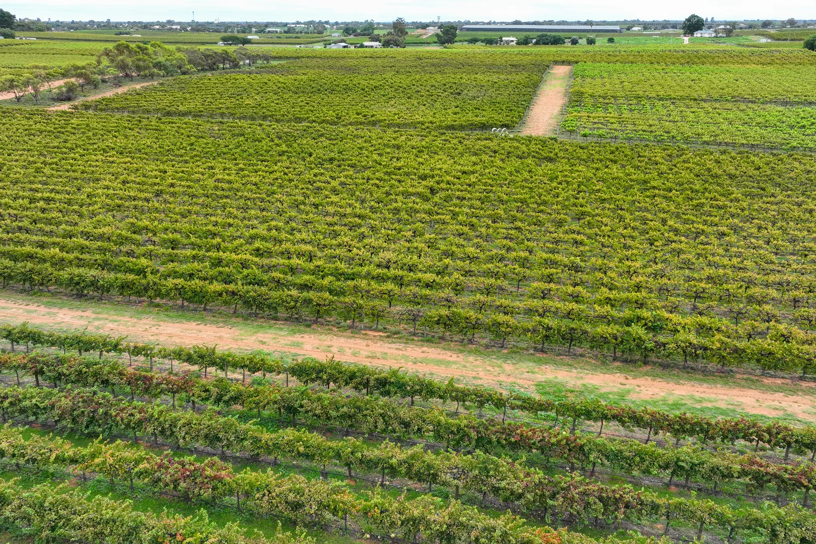 Additional image 9 of Lot 15 Rattey Road, Loxton SA 5333