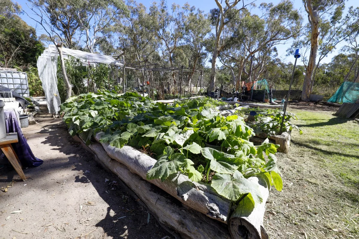 Additional image 18 of 726 Willow Glen Road, Lower Boro NSW 2580