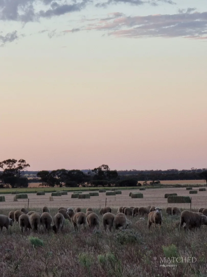 Additional image 19 of 9088 Mullewa-Wubin Road, Morawa WA 6623