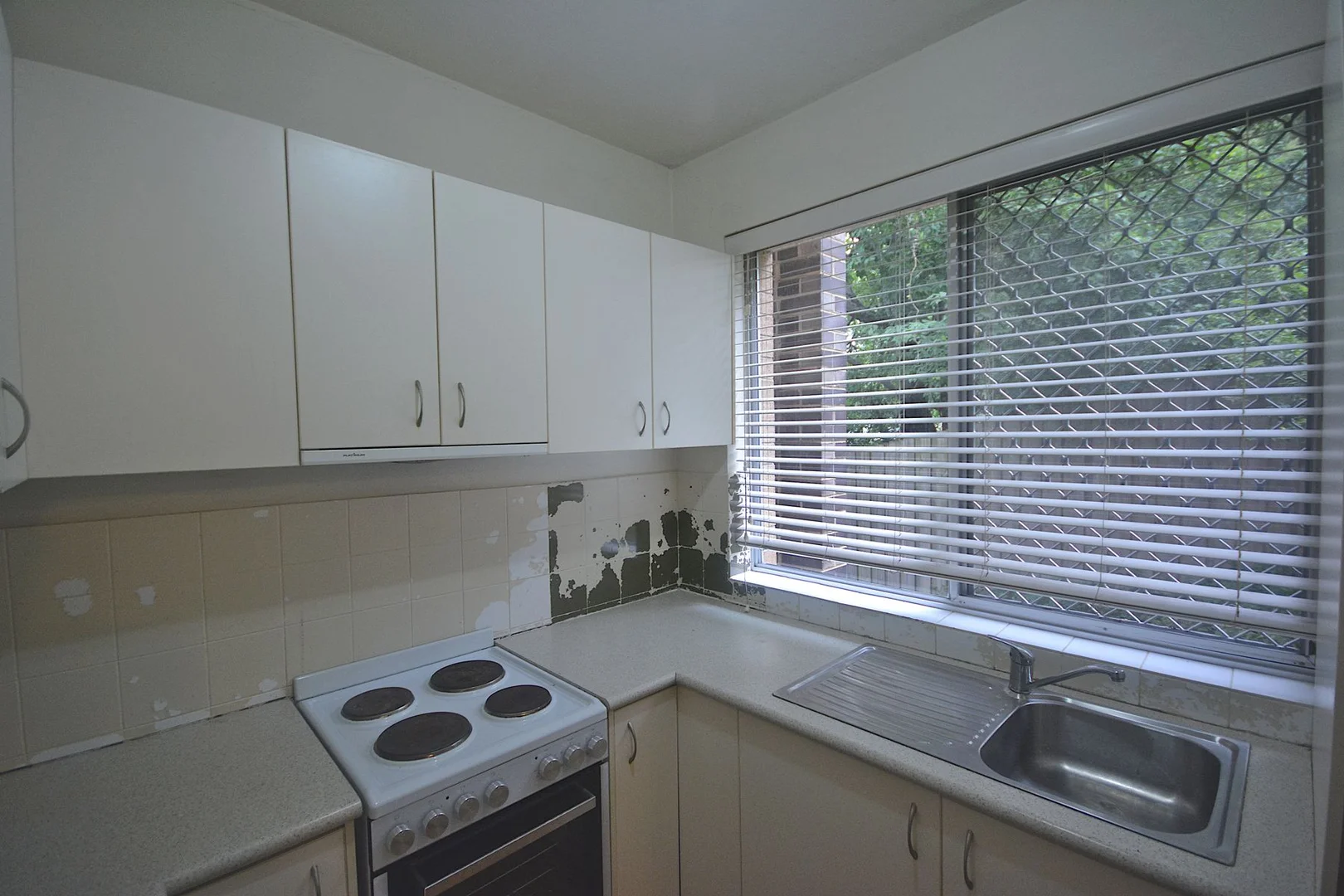 3/4 David Road, Springwood NSW 2777 photo 5