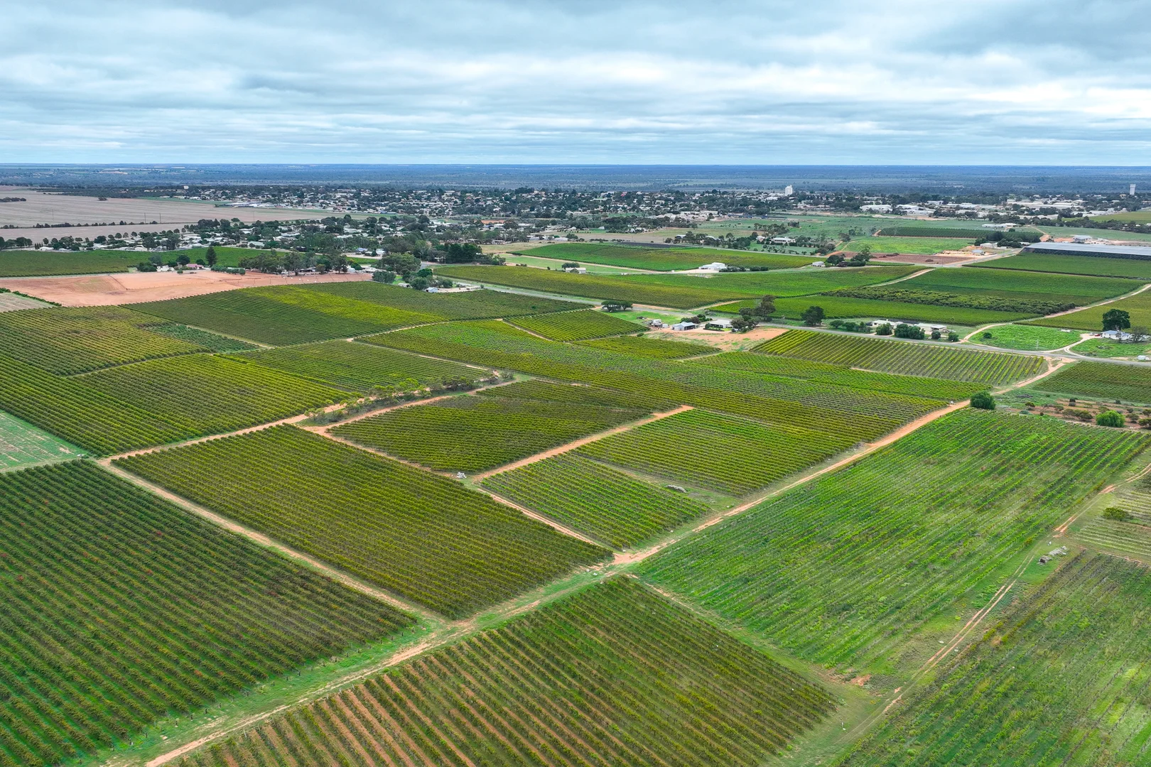 Additional image 2 of Lot 15 Rattey Road, Loxton SA 5333