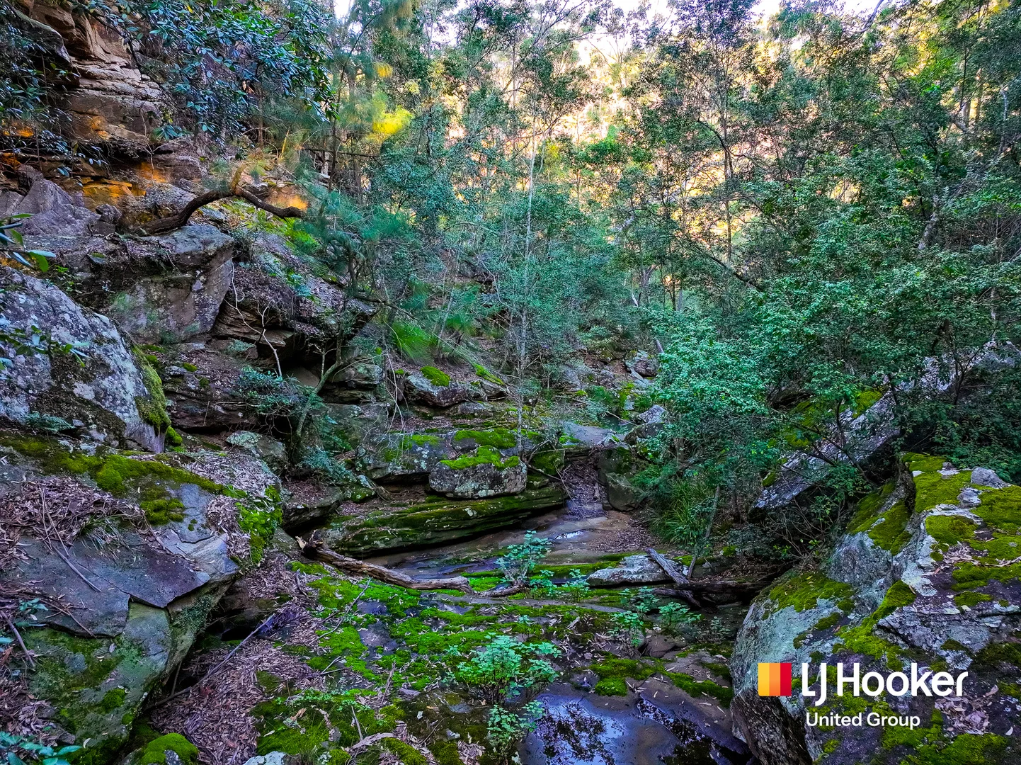 Additional image 30 of 150 Rapleys Loop Road, Werombi NSW 2570