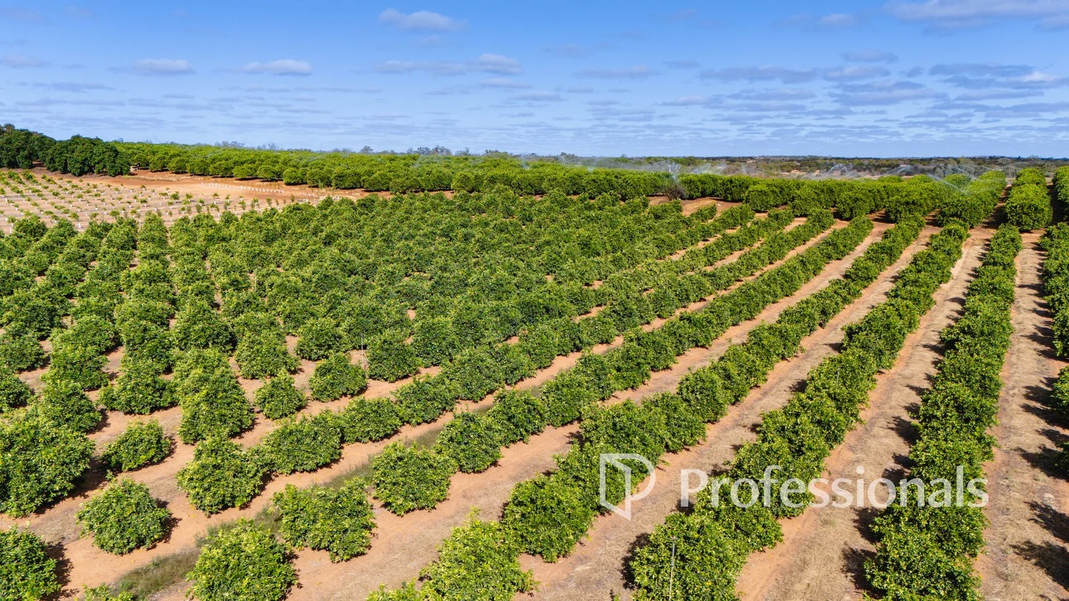 Additional image 4 of 3724 & 3744 Kulkyne Way, Colignan VIC 3494