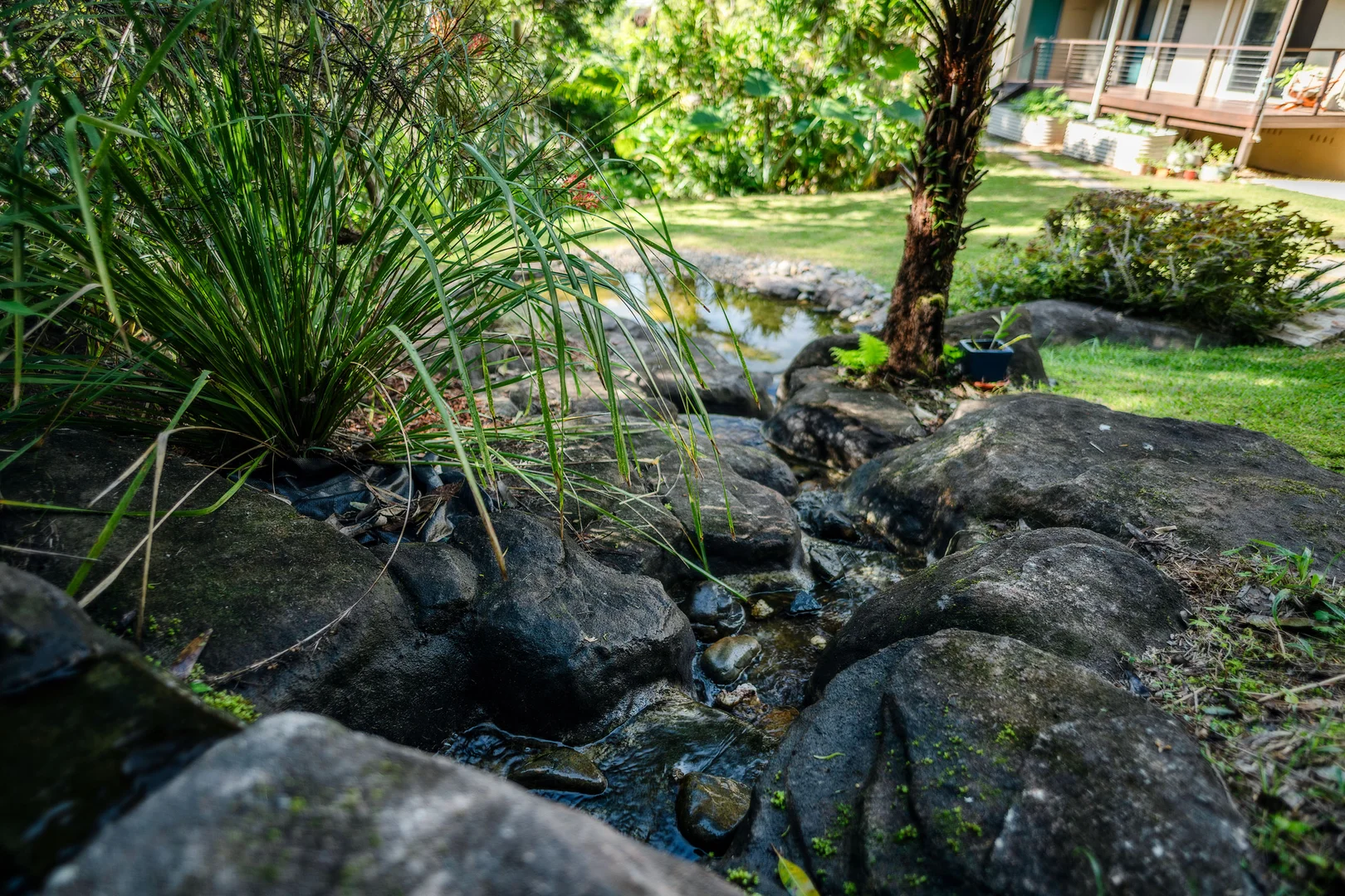 Additional image 25 of 2 Lucas Avenue, Bellingen NSW 2454