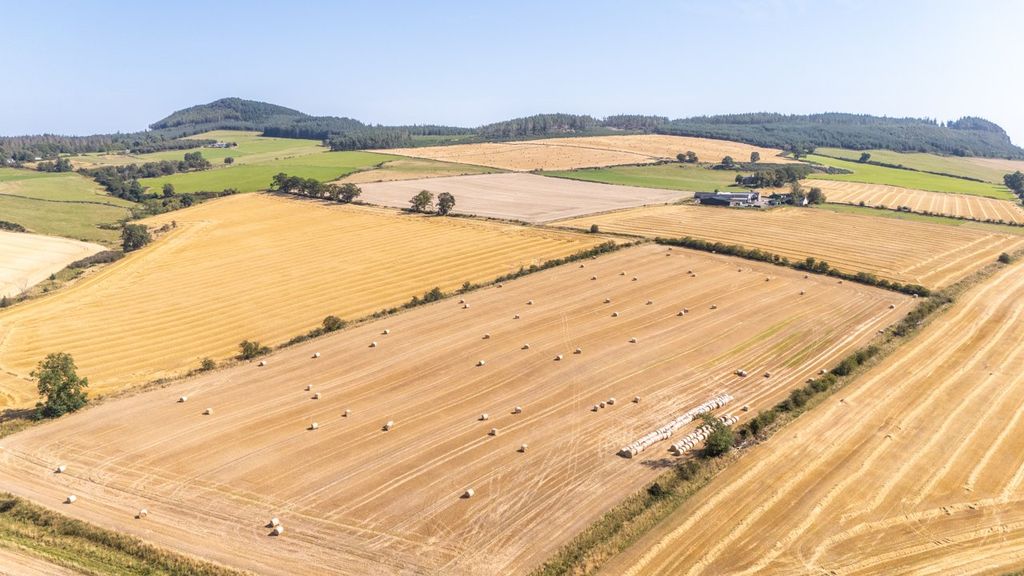 Additional image 8 of Land for saleWester Moy Farm, Muir Of Ord, Ross-Shire IV6